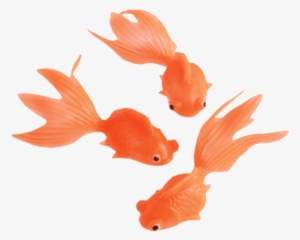 Stretchy Goldfish - Goldfish