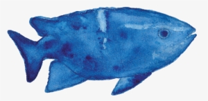 Creatures - Wrasses