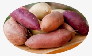 What's The Difference Between A Sweet Potato And A - Purple Transparent Sweet Potato