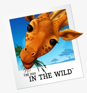 Giraffe - Lifeway Vbs 2019 In The Wild