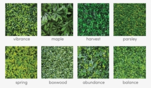 Due To The Flexibility Of The Product, They Can Be - Artificial Vertical Green Wall