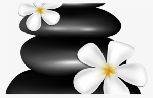 Spa Stones With White Flowers Png Clipart Image Gallery - Clip Art
