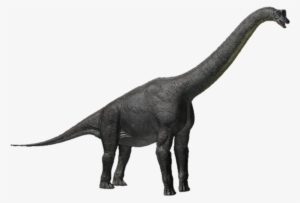 Alamosaurus - Apatosaurus Png