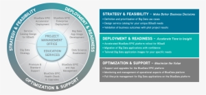 Bluedata Services - Bluedata Software, Inc.