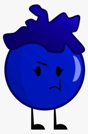 Blueberry - Cranberry