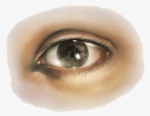Free Png Eye Png Images Transparent - Human Eye Png