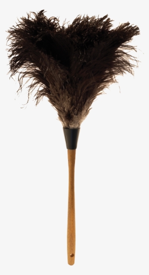 Ostrich Feather Png - Ostrich Feather Duster Png