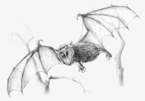 Blood Bat - Drawing