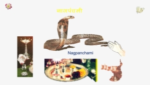 This Site Is For Premium And High Profile Customers-professional - Cobra Snake Zinc Alloy Belt Buckle