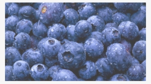 Fruit-water Droplets - - Tfa Flavor Concentrates - 30ml - Blueberry Flavor (extra)