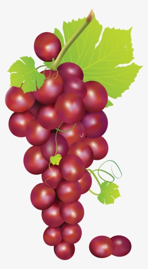 Grapes Vector Red Grape - Grapes Clipart Transparent Background