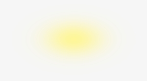 Source - Respect4horses - Com - Report - Bright Light - Darkness