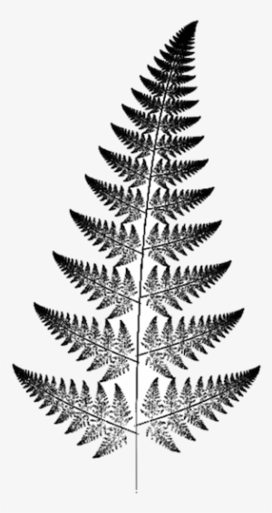 Fan-art - Fractal Fern