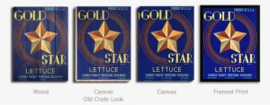 Gold Star - Graphic Design