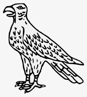 Details, Png - Falcon