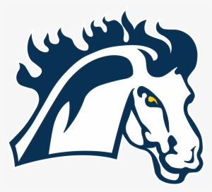 Mount Mercy University Mustangs