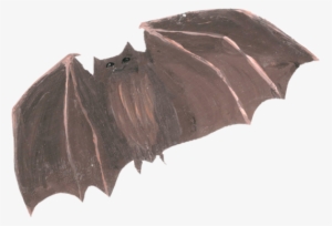 Bat - Vampire Bat