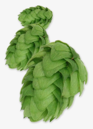 Crystal Pellet Hops Michigan Grown - Expired Spinach