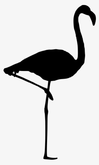 Silhouette,flamingo Isolated,free Vector - Flamingo Silhouette Vector Free