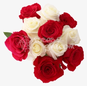White - Red Combination - White And Red Rose Flowers Images Png