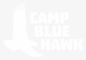 Camp Blue Hawk Logo - Logo