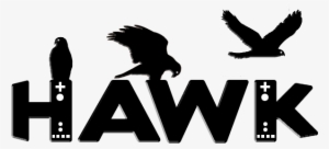 Net/eastech/temp/hawk Screens/hawklogo - Game