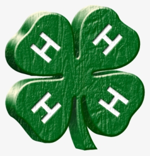 View Fair Premium Book - 4 H Clover