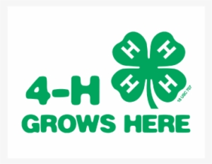 4-h Grows Here - 4 H Grows Here