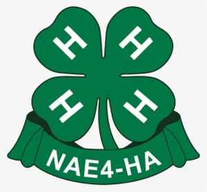 National Association Of Extension 4 H Agents