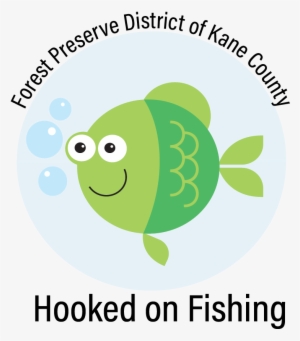 Additional Details - Vector Graphics