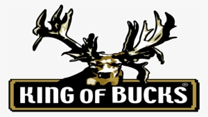 Brenda Valentine's Snowy Alabama Whitetail Hunt Featured - King Of Bucks