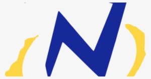 Boys Scouts Of America - Lgbt