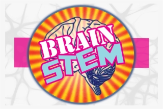 Neuroscience In The Afternoon - Chrome And Safari Icon