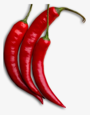 Chilis - Chile De Árbol Png