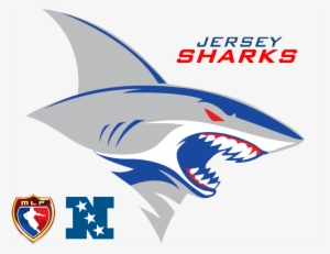 Jerseysharks11 - Great White Shark