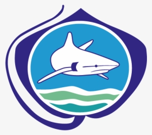 Himbers Bring Home Awards From The 2018 Sharks International