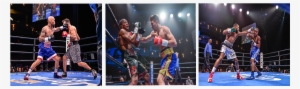 Ishe Smith Vs - Professional Boxing
