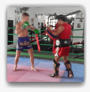 Training 1 - Professional Boxing