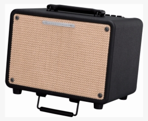 Ibanez Troubadour T30 30 Watt Acoustic Guitar Amplifier