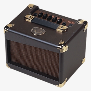 Dean Acoustic Guitar Amp - Dean Da20