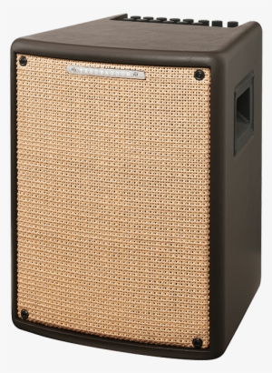 Sale - Ibanez Troubadour T80ii Acoustic Guitar Amp