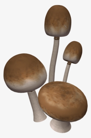 Descargar - 3d Mushroom Transparent