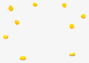 Granos De Maiz Png