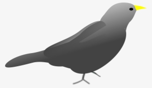 Beak Bird Computer Home Network Call Of Duty - Clip Art