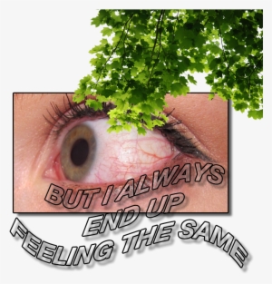 Intaes Internet Aesthetics Vaporwave Netart Webart
