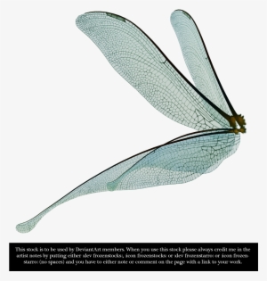 Dragonfly Fairy Wings Render By Frozenstocks - Dragonfly Wings Side View