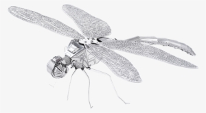 Picture Of Dragonfly - Metal Earth Dragonfly