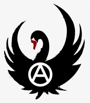 Post Navigation - Keeper Of The Lost Cities Black Swan