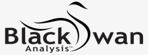 //blackswan Analysis - Black Swan Analysis Ltd