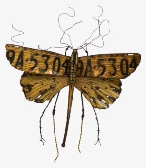 Kari Von Wening - Illustration